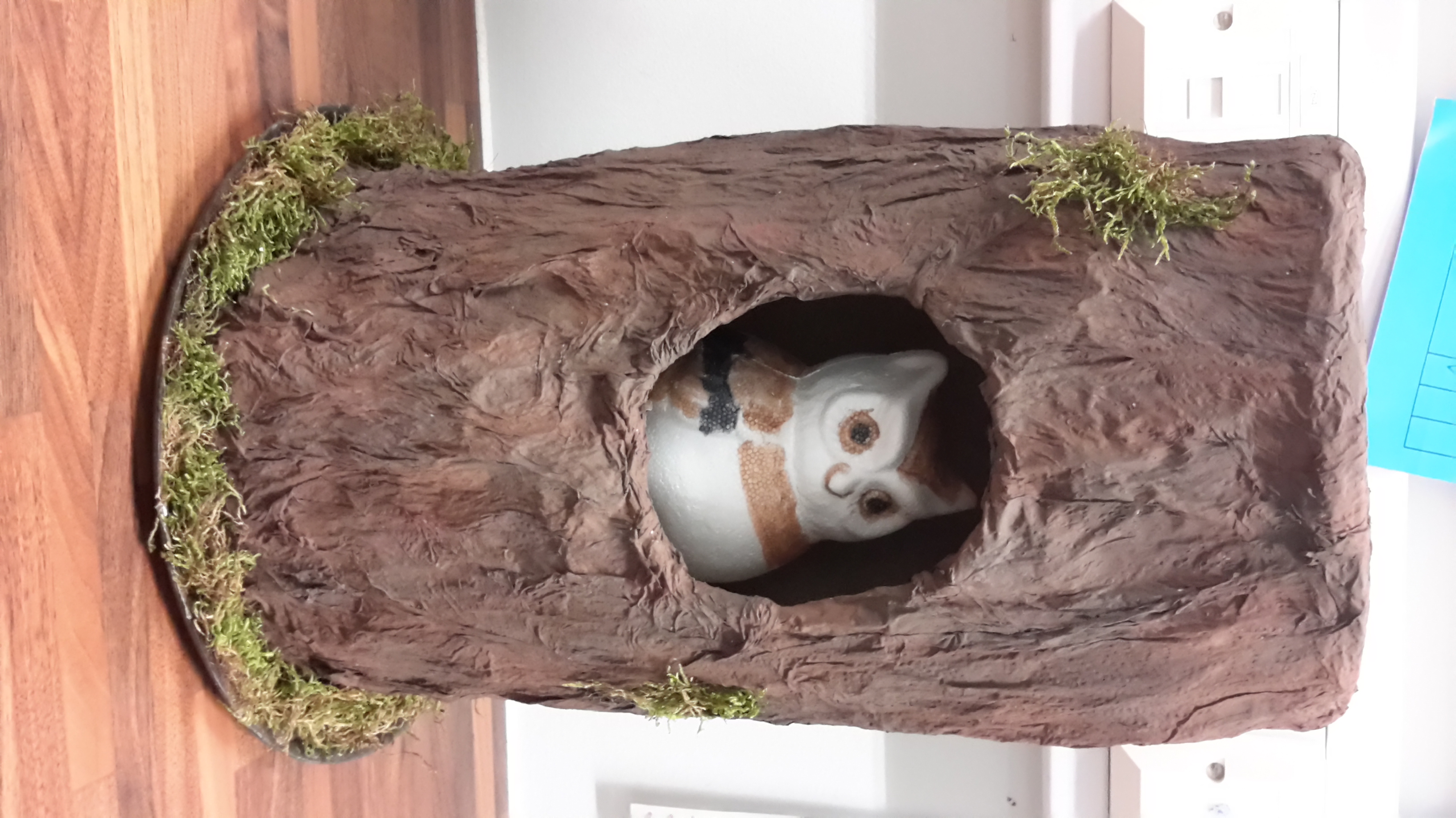 Nocturnal animals printable pack picture